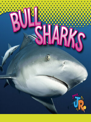 cover image of Bull Sharks